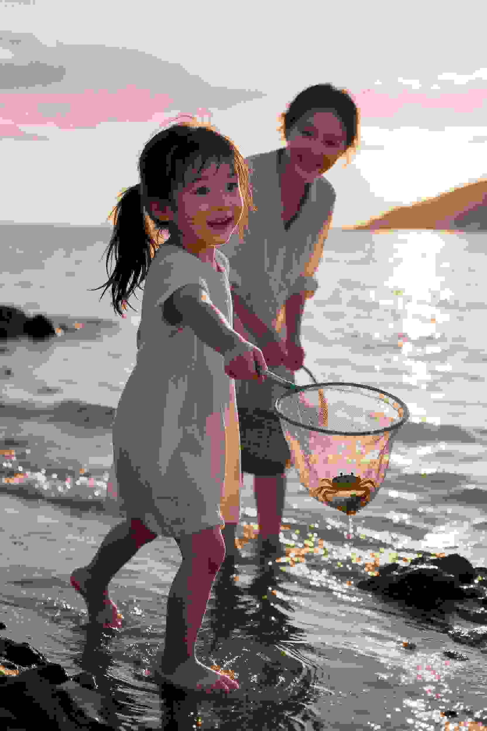非非虫
